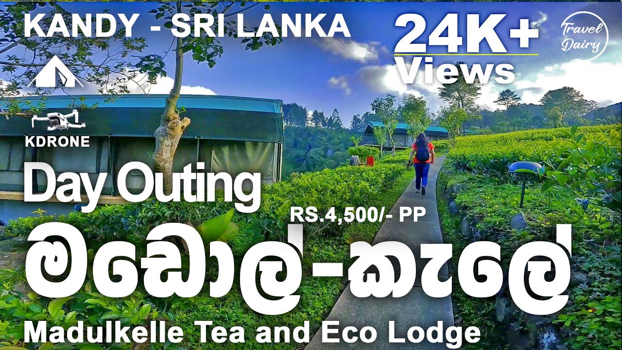 Day in a mountain Hotel | කන්දක් උඩ හෝටලයක දවසක් | Sri Lanka | Madulkelle Tea and Eco Lodge | Travel