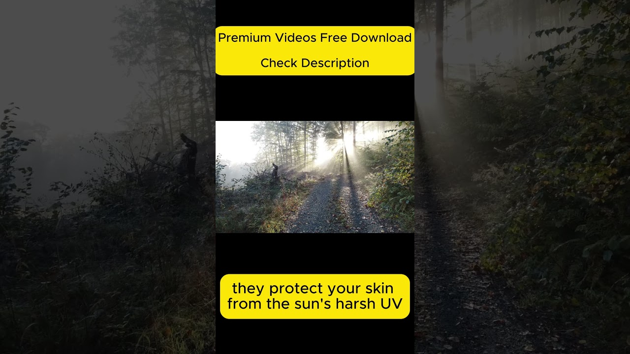 Best Anti-Aging Foods You Must Eat to Look 10 Years Younger!