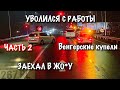 Уволился с работы. Чехия, Италия, Венгрия и Коровы