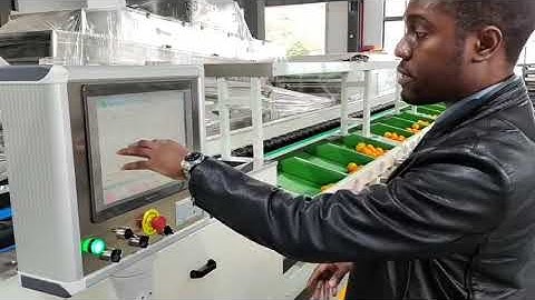 Avocado/citrus/apple/pear/persimmon processing line fruit sorter grader weight grading machine