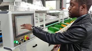 Avocado/citrus/apple/pear/persimmon processing line fruit sorter grader weight grading machine