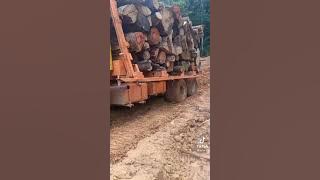 truck kayu balak 8 kaki