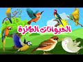 استكشاف عالم الطيور أسماء الحيوانات الطائرة بالعربية للأطفال       