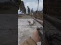 S.T.A.L.K.E.R. Gamma cat mutant #coolcats #badcat #dnaxcat #powercat