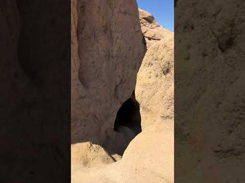 الب دع الم دائن مغاير شعيب