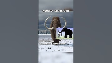 Extinct Animals That Scientists Want To Bring Back To Life