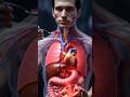 What Happens Inside Your Body When You Eat Pomegranate? #anatomy #3danimation #aivideo