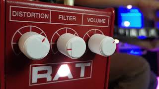 Proco RAT2 RED 限定  美品