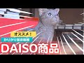 【DAISO保存容器レビュー】猫のペットフードはこれに入れています！真空？酸化？気にせず使ってます。