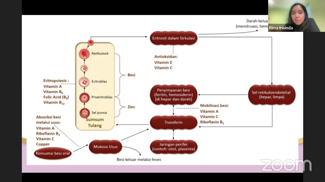 Rekomendasi Vitamin Saat Hamil
