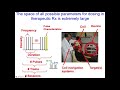 Nih basic training course on transcranial magnetic stimulation tms physical parameters  protocols