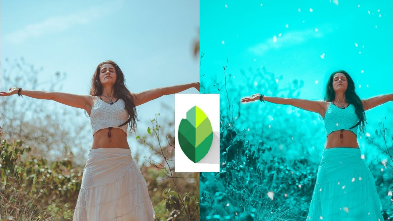 Snapseed Moody Blue photo Editing  photo Editing   Background colour change / Technical Editing