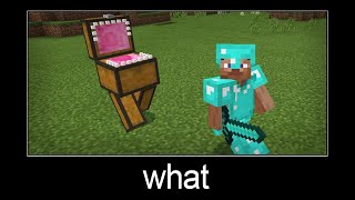 Minecraft wait what meme part 82 (living chest)