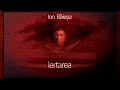 Iertarea (2012) - Ion Baiesu