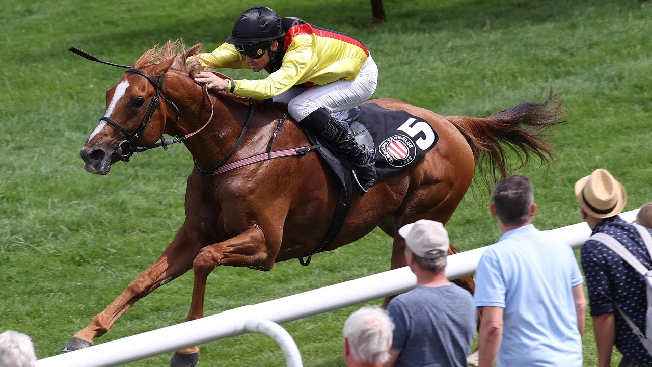 Hamburg-Horn:wettstar.de–Grosser Hansa-Preis–200 Jahre Deutscher Galopp 2022 Sieger: Torquator Tasso