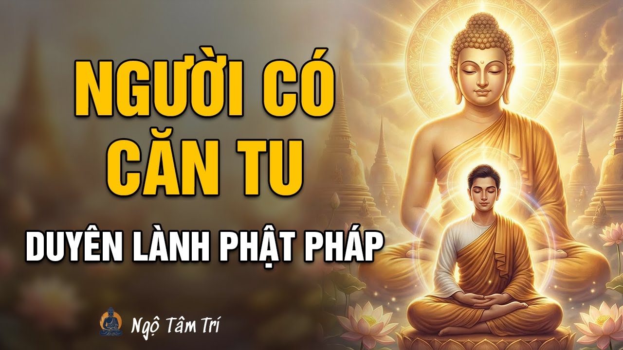 Thế nào là người có CĂN TU? Dấu hiệu nhận biết Duyên lành với Phật pháp | Ngộ Tâm Trí