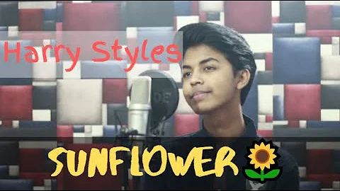 Harry Styles - Sunflower, Vol. 6 (Sahil Sanjan ft. Ibnul Aftab)