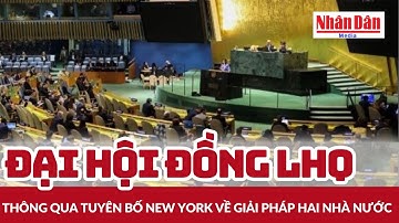 Đại hội đồng Liên hợp quốc thông qua Tuyên bố New York về giải pháp hai nhà nước | Báo Nhân Dân