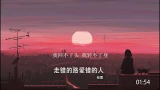 2022華語網絡流行音樂 ||《走錯的路愛錯的人》|| 任夏 || 動態歌詞