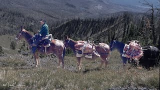 Mike's Old Time Guiding in the Wilderness.