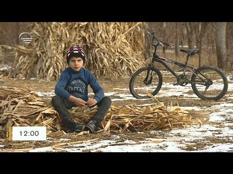 ერთადერთი ბავშვი სოფელ ზარდიაანთკარიდან