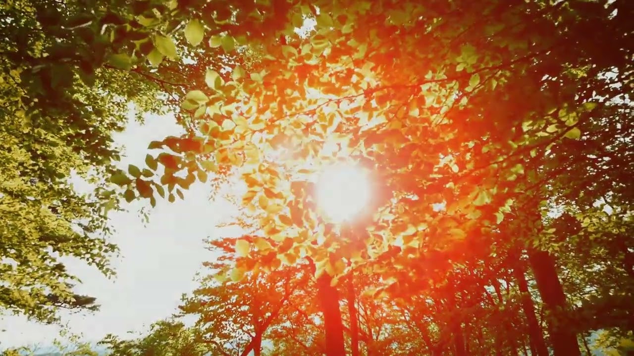 Watch Ambient Dreamfields - Center Point on YouTube Watch Ambient Dreamfields - Center Point on YouTube