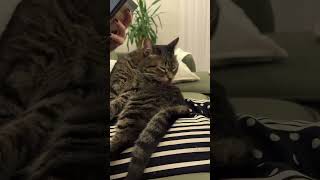 Dudu Yine Kendini Fışklıyor