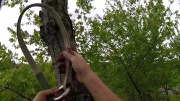 Friction Saver Basics For Doubled Rope Technique (DdRT) | Arborist Climbing