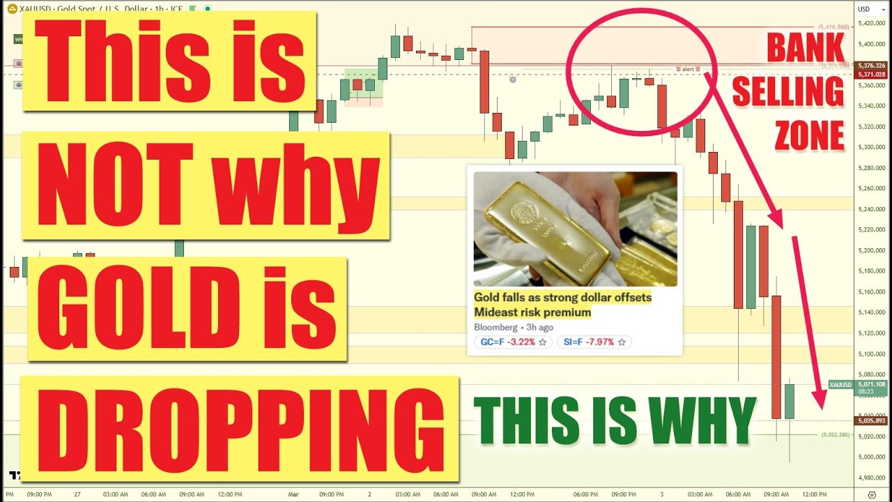 Gold Drops, Oil Surges & Bitcoin Stalls — What Institutions Are Really Doing 📊