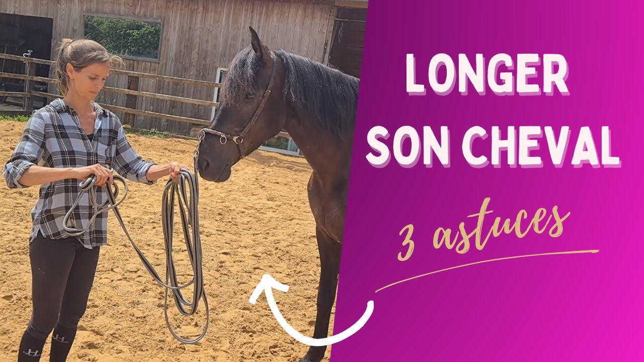 Comment longer un cheval ? 5 Techniques faciles à maîtriser ! - Blog