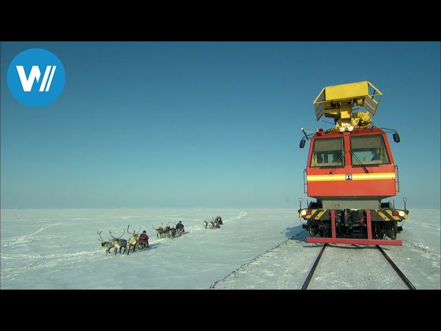 Die Polarbahn (360° - GEO Reportage)