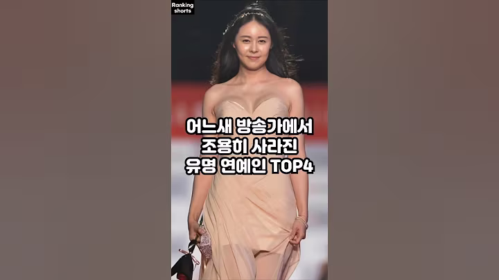 어느새 방송가에서 조용히 사라진 유명 연예인 TOP4