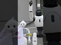 30 Robots Protest in Poland — “Save Human Jobs From AI!”