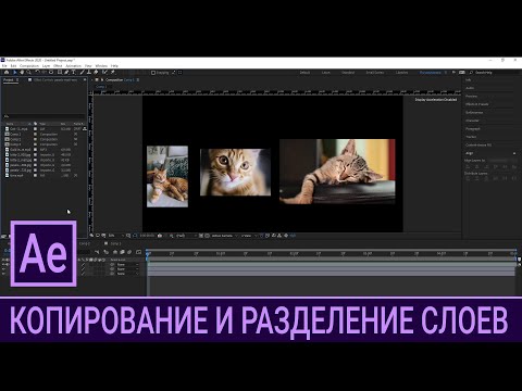 AE 2.3. Копирование и разделение слоев / Курс Adobe After Effects