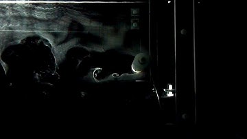 FSU/FAMU COE Towing Tank - Vortex Shedding