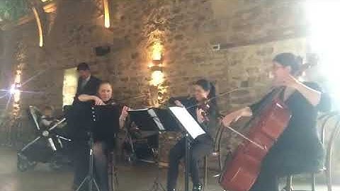 How long will I love you | Ellie Goulding |🔥🔥🔥PASSION STRINGS🔥🔥🔥| Wedding String Trio UK