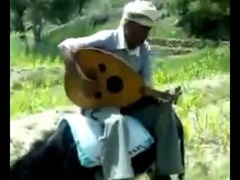 مطرب وعازف يمني ماهر على العود لكنه غبي فوق الحمار