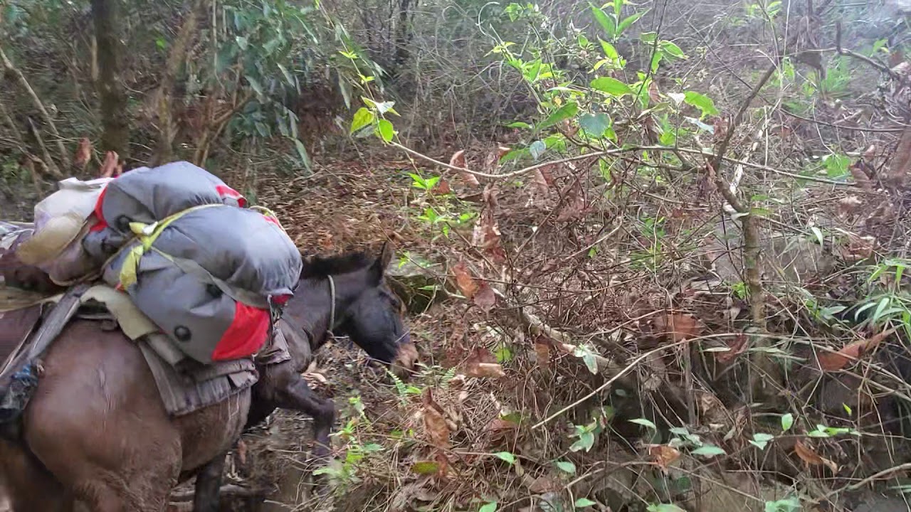 Means of trsnsportation in remote area