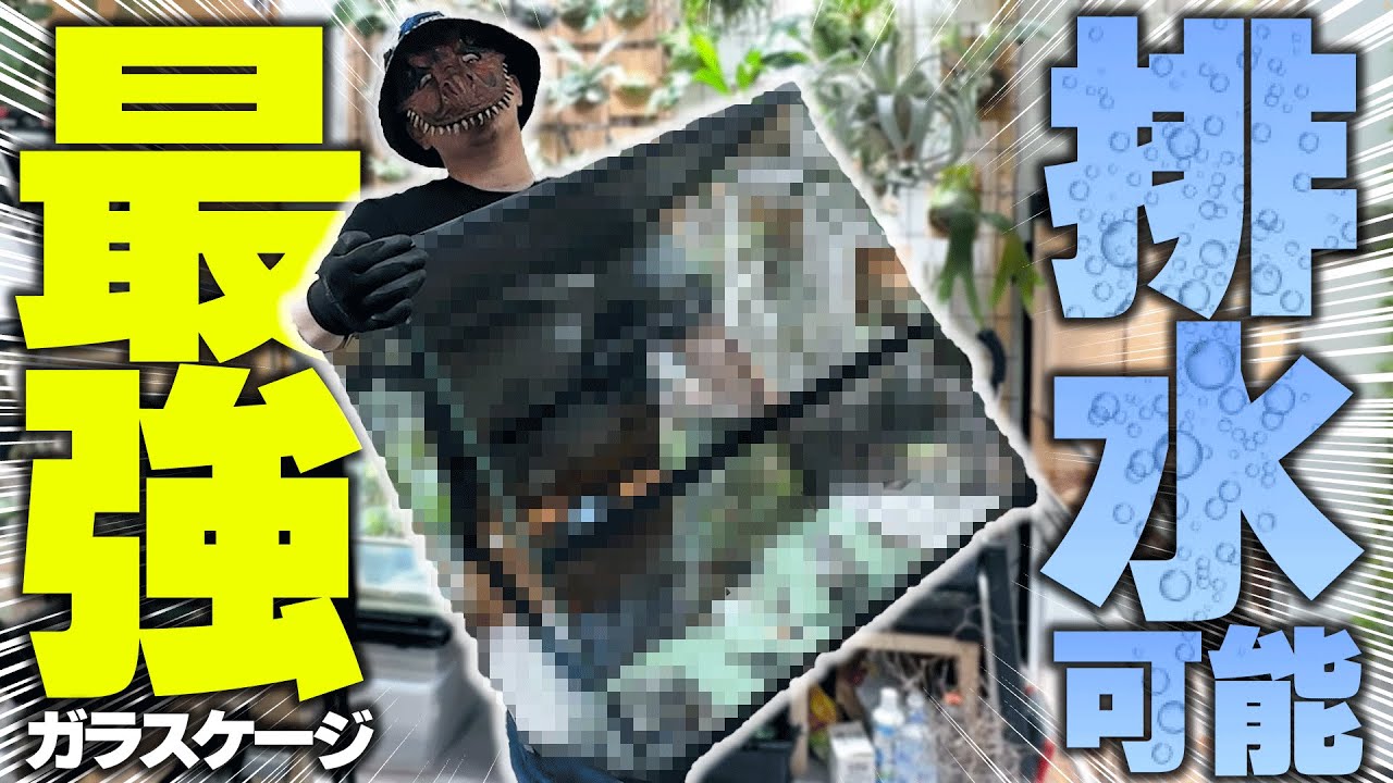 【おすすめ】あのオリジナル爬虫類ケージが超進化！！ヤバすぎたのでレビューします！【 爬虫類 飼育 ケージ テラスペース 】