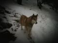 May snow hike - 8mm