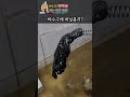 치매걸리신 할머니분이 비닐봉지를 하수구에? #shorts