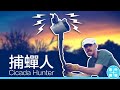 捕蟬人：Cicada Hunter (警告：我的技術很差，蟬鳴聲也很大聲 / Warning: Shockingly bad hunting skills, and loud noises)