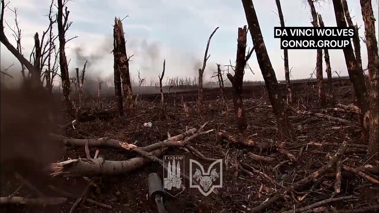 Волки да винчи фото