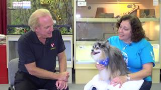 AnimalZone - Season 3, Episode 1 Featuring the Helen Woodward Animal Center by Animal Zone 380 views 4 years ago 30 minutes