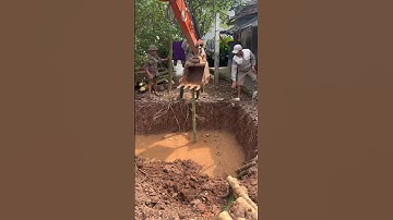 Máy xúc đóng cọc tre #shortvideo #automobile #truckdriver #truck #excavator #bamboo #water #big