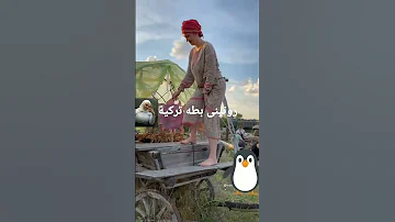 روتينى فلاحة تركية 