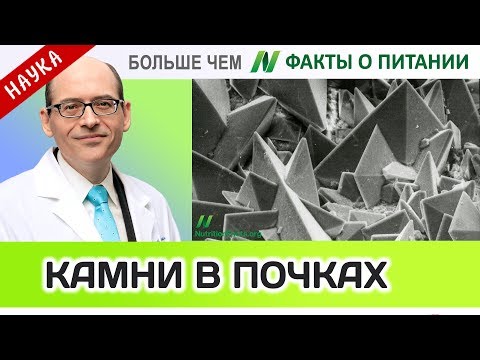 1017.Еда от камней в почках | Больше чем ФАКТЫ О ПИТАНИИ - Майкл Грегер
