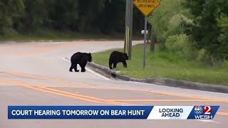 Florida's black bear advocates challenge the FWC's decision to conduct a black bear hunt