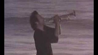 Vignette de la vidéo "Herb Alpert - Rise"