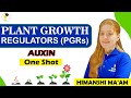 Plant Growth Regulators Auxin || Plant Growth Regulators Class 11 || Biology by Himanshi Verma
